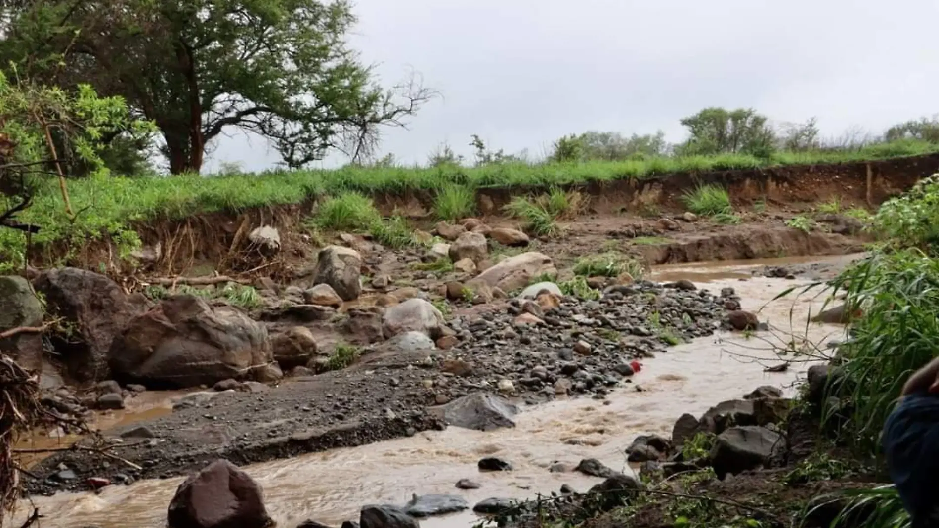 Lluvias en Colima